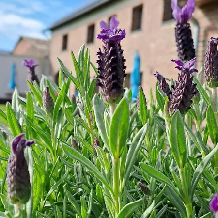 Bingers Kleine Scheune 3*