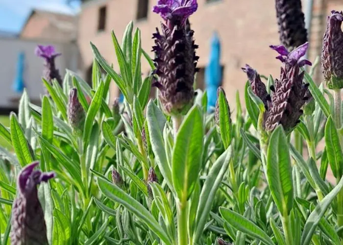 Bingers Kleine Scheune 3*