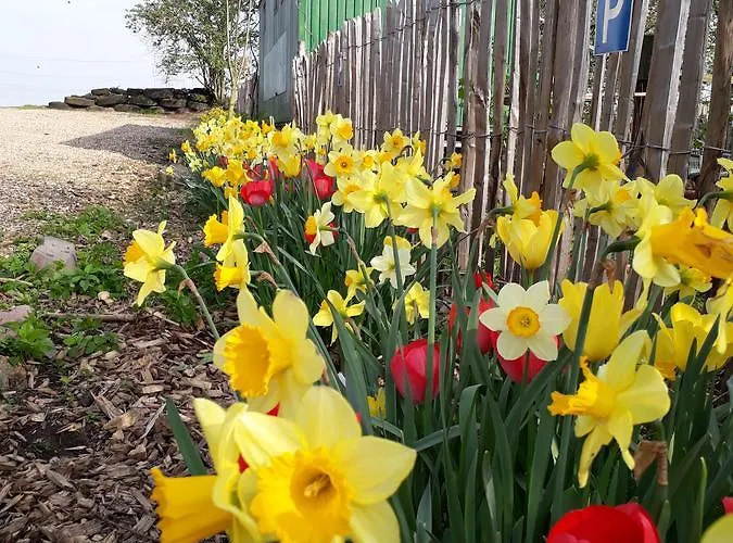 Bed & Breakfast Bingers Kleine Scheune
