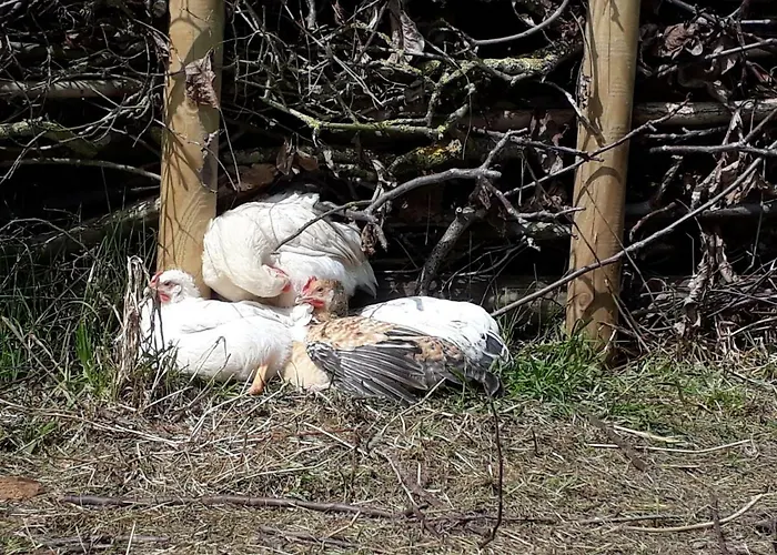 Bingers Kleine Scheune